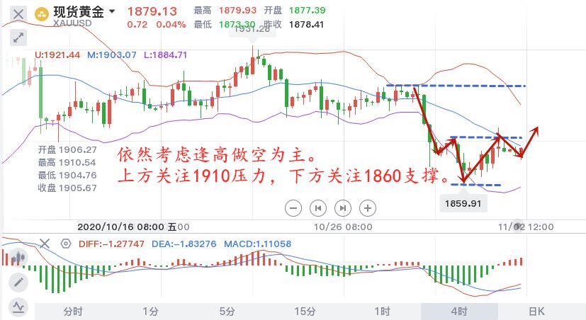 11.2早黄金.jpg