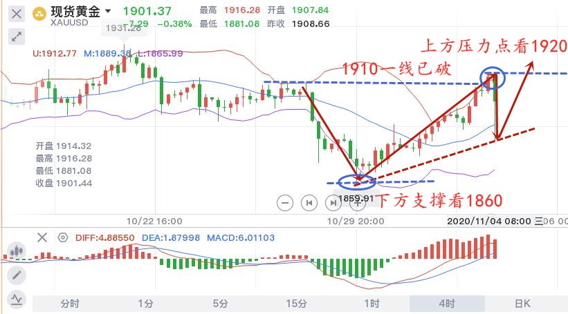 11.4早黄金.jpg