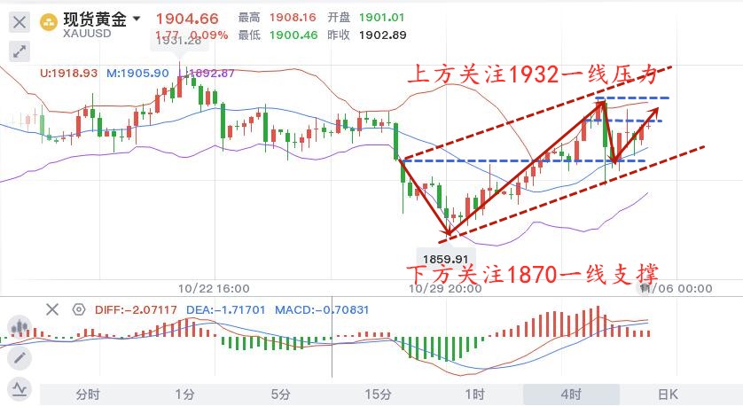 11.5早黄金.jpg