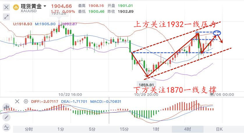 11.5黄金.jpg