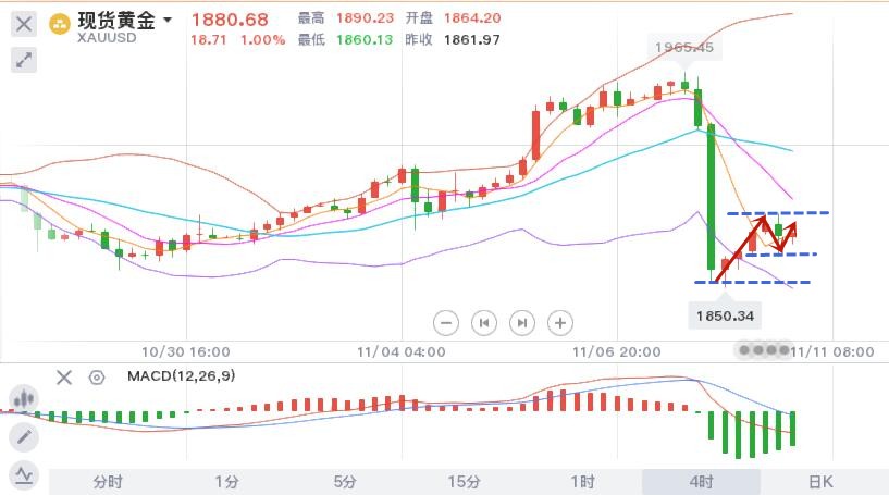 11.11黄金.jpg