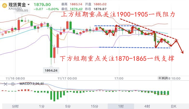 11.18早黄金.jpg